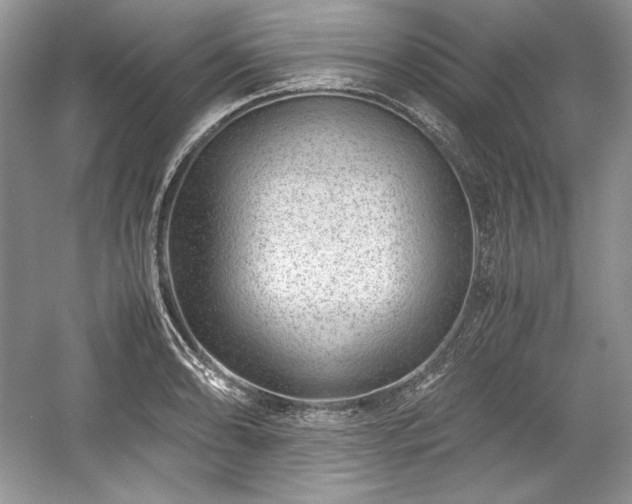 X0000059091086200510101138