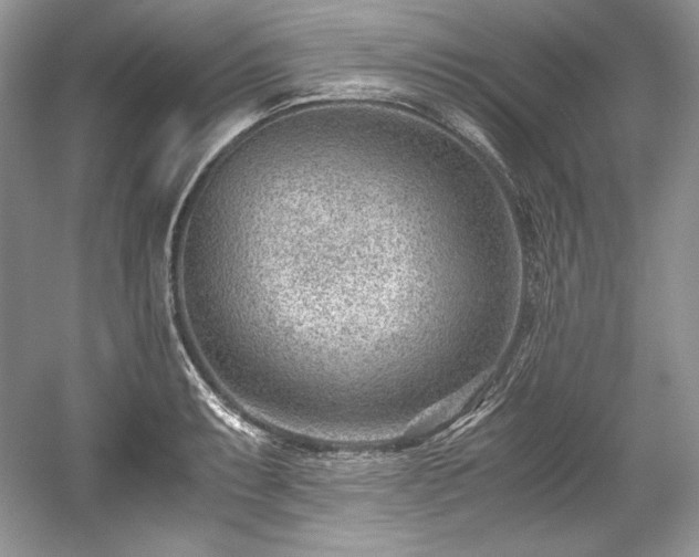 X0000059091087200510101138