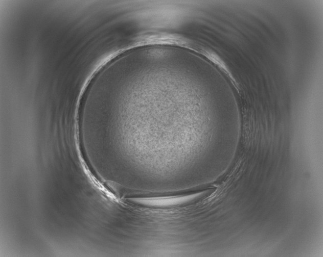 X0000059091088200510101138