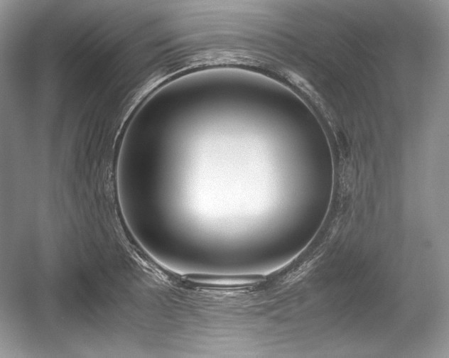 X0000059091089200510101138