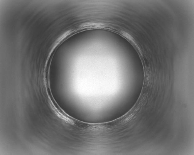 X0000059091090200510101138