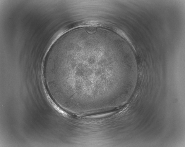 X0000059091091200510101138