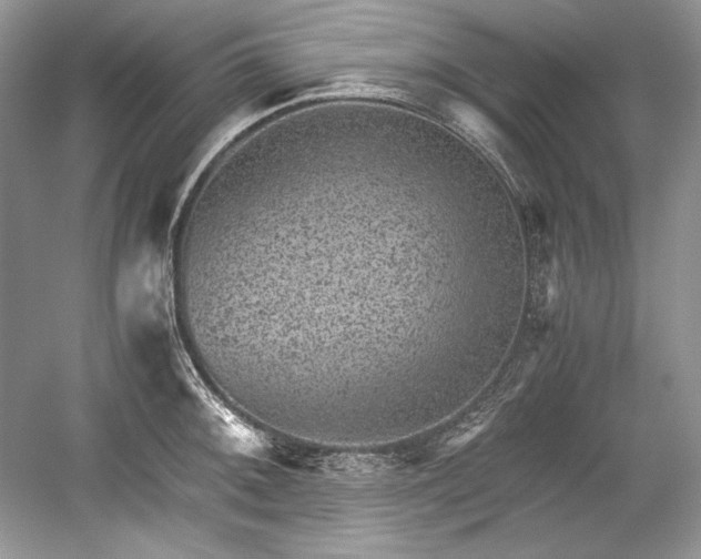 X0000059091092200510101138