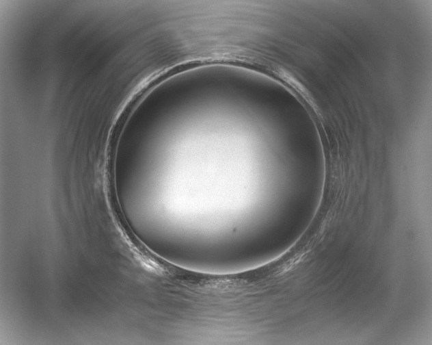 X0000059091093200510101138