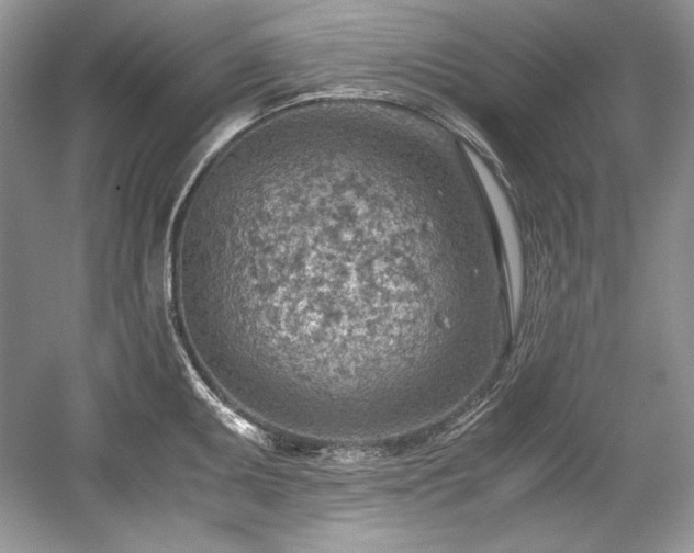 X0000059091095200510101138