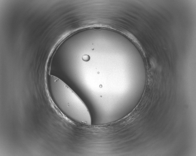 X0000059091096200510101138