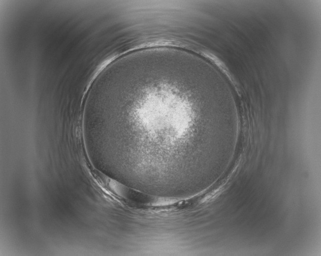 X0000059091097200510101138