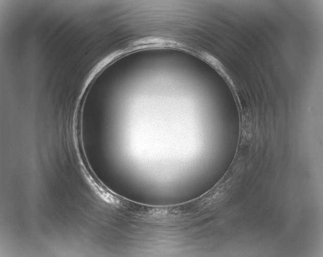 X0000059091098200510101138