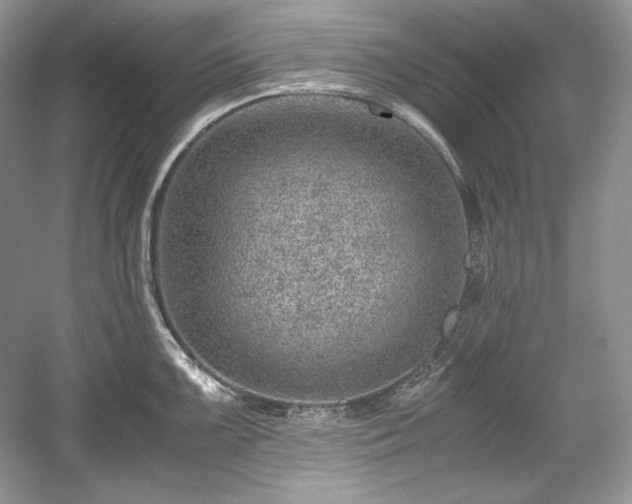 X0000059091099200510101138