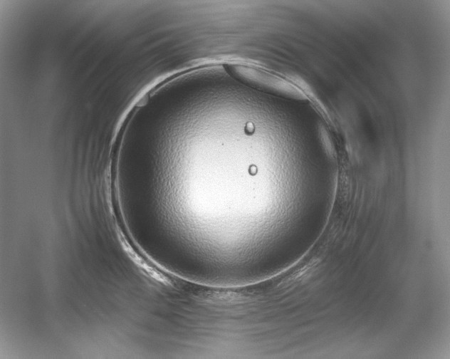 X0000059091100200510101138