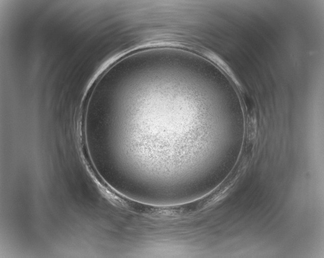 X0000059091101200510101138