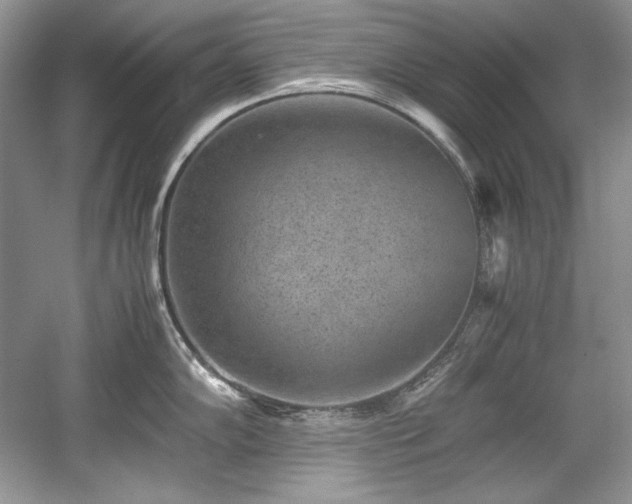 X0000059091102200510101138