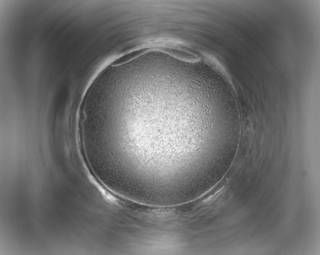 X0000059091103200510101138