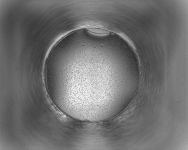 X0000059091104200510101138