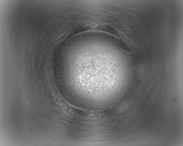 X0000059091105200510101137