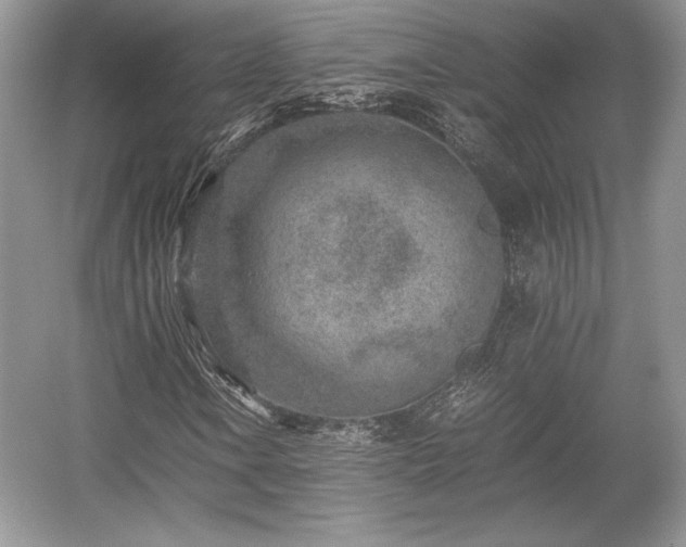 X0000059091106200510101137