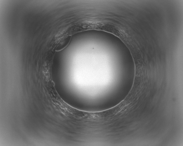 X0000059091109200510101137