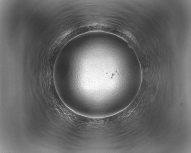 X0000059091111200510101137