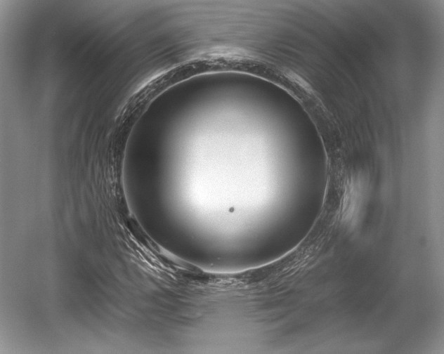 X0000059091112200510101137