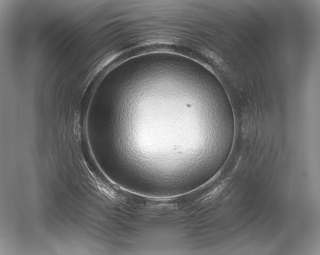 X0000059091113200510101137