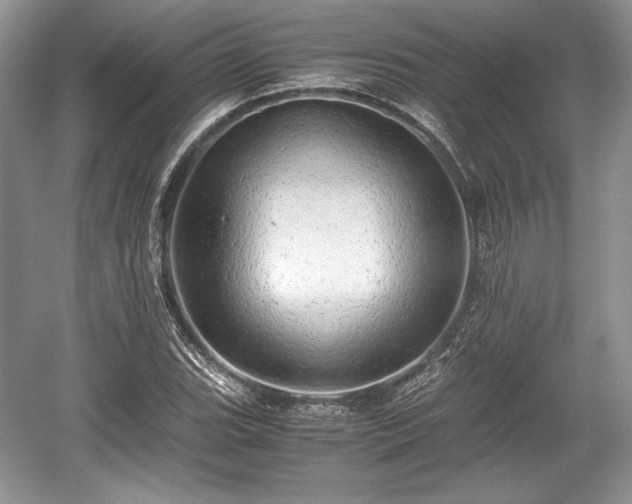 X0000059091119200510101137