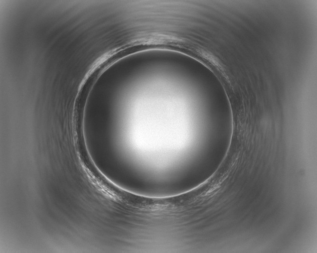 X0000059091122200510101137