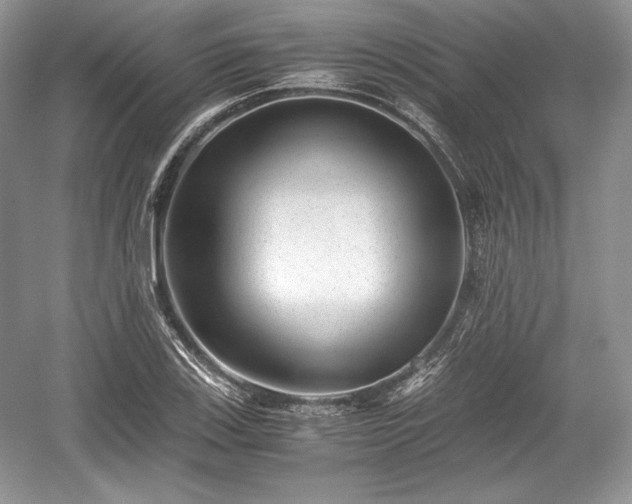 X0000059091123200510101137