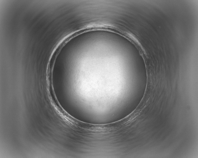 X0000059091124200510101137