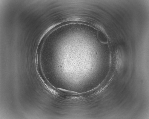 X0000059091125200510101137