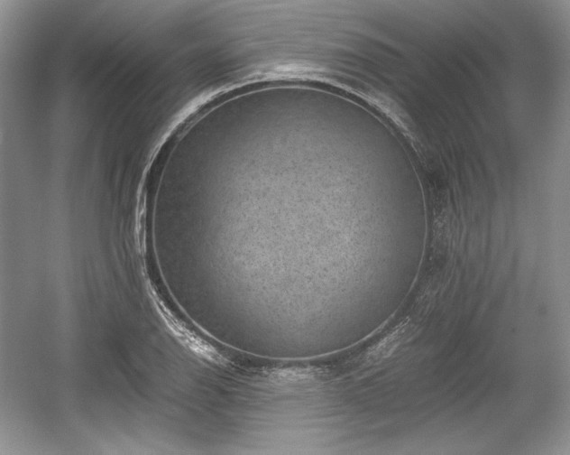 X0000059091126200510101137