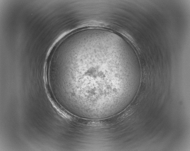 X0000059091128200510101137