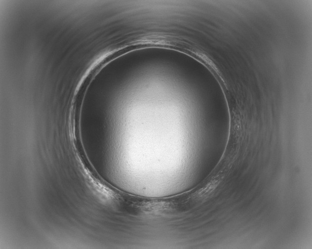 X0000059091131200510101137