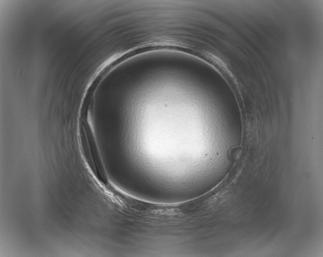 X0000059091133200510101137