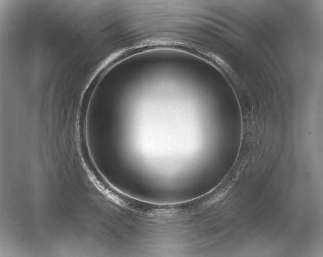 X0000059091134200510101137