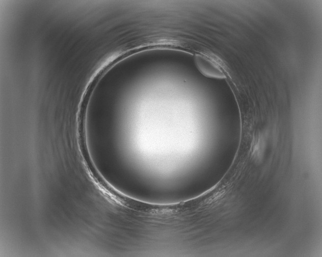 X0000059091135200510101137