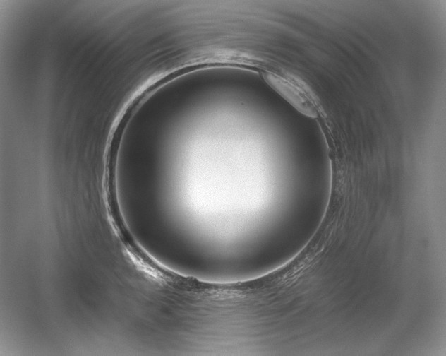 X0000059091136200510101137