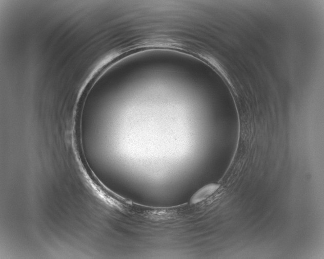 X0000059091139200510101137