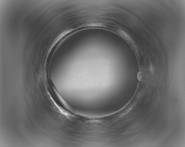 X0000059091141200510101138