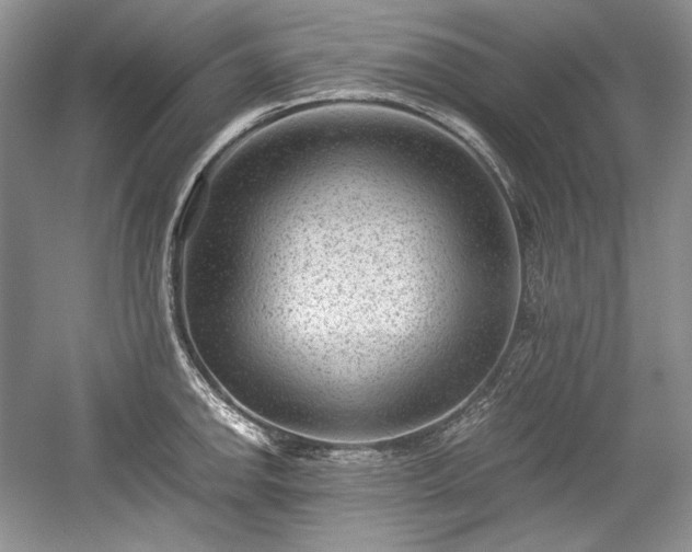 X0000059091142200510101138