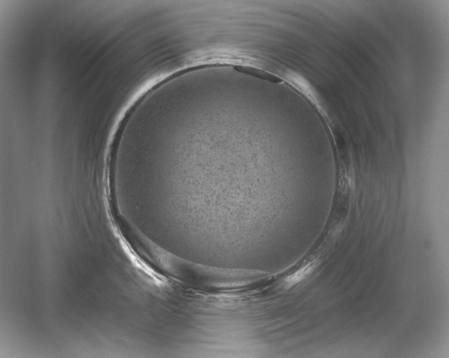 X0000059091144200510101138