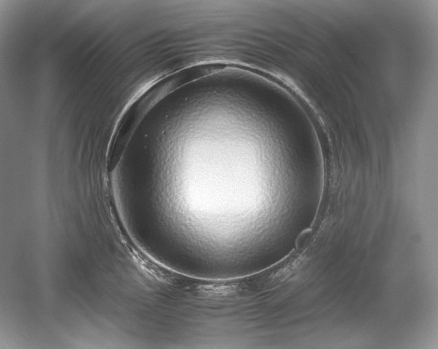 X0000059091145200510101138