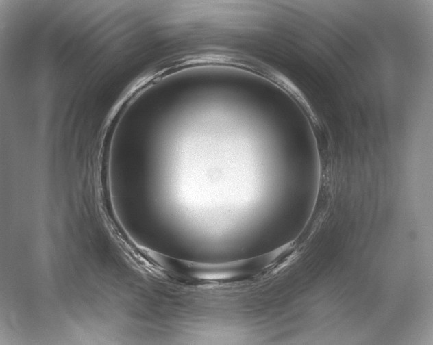 X0000059091146200510101138