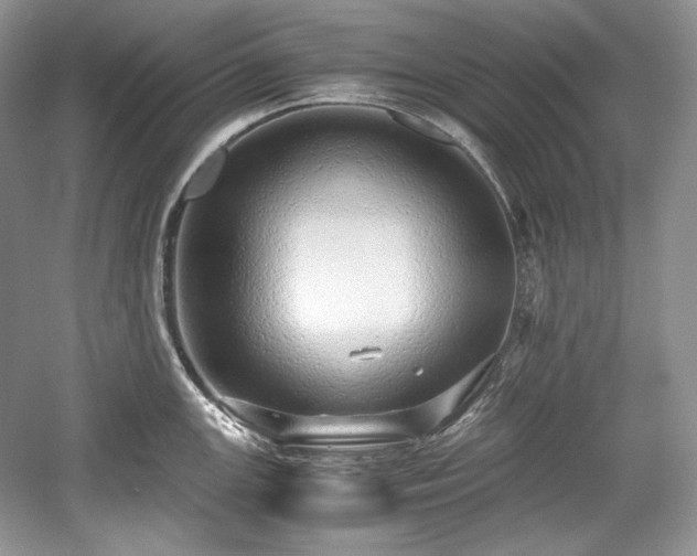 X0000059091147200510101138