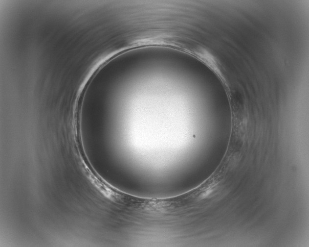 X0000059091148200510101138