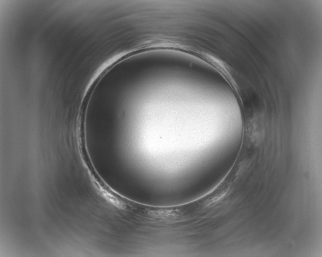 X0000059091149200510101138