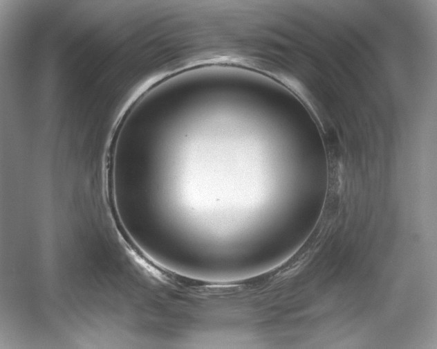 X0000059091151200510101138