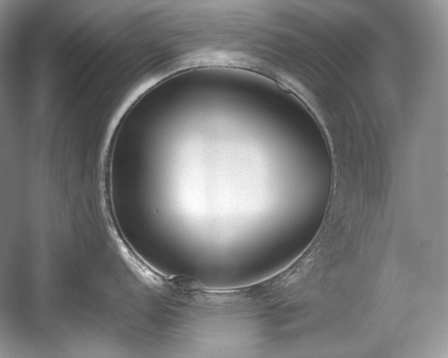 X0000059091152200510101138