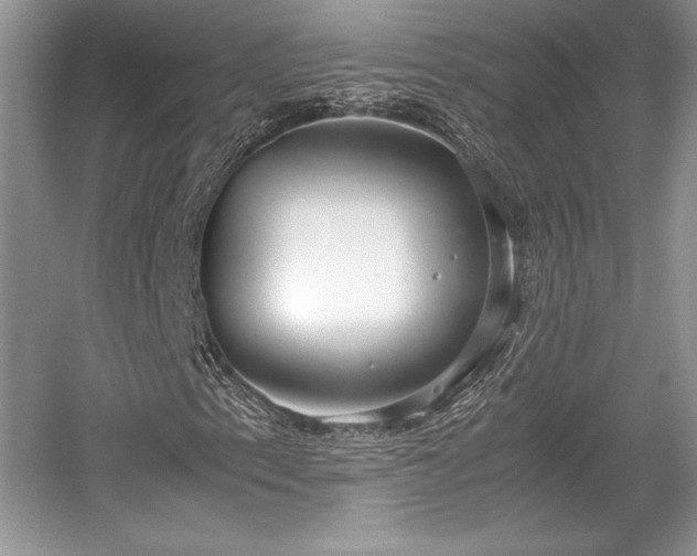 X0000059091153200510101137