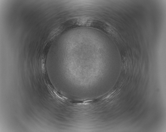 X0000059091154200510101137