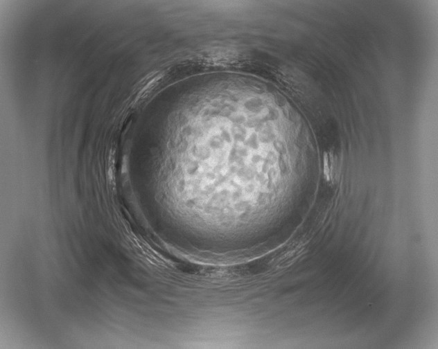 X0000059091155200510101137